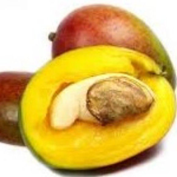 African Mango Seeds - Picture 1 of 1